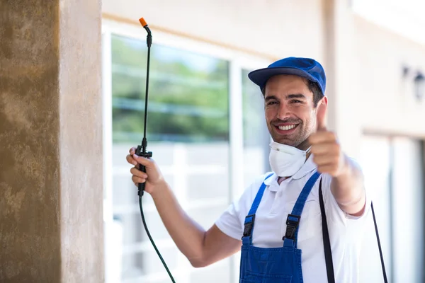 Greenfield Wasp Removal