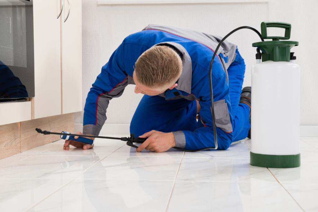 Greenfield Ant Control Xperts