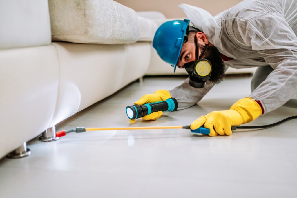 Greenfield Termite Control
