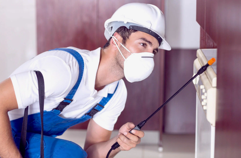 Greenfield local pest services